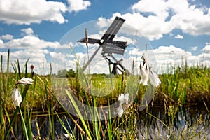 Dutch windmill in the landscape of the Dutch polder with marsh p