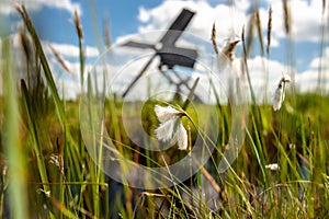 Dutch windmill in the landscape of the Dutch polder with marsh p