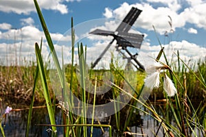 Dutch windmill in the landscape of the Dutch polder with marsh p