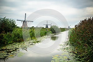 Dutch Windmill and landscape seen from Kinderdijk Netherlands