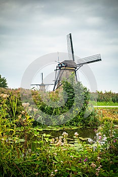 Dutch Windmill and landscape seen from Kinderdijk Netherlands