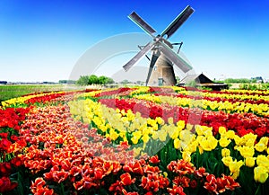 Dutch windmill over river waters