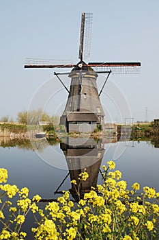 dutch windmill reflected