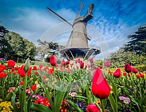 The Dutch Windmill at San Francisco