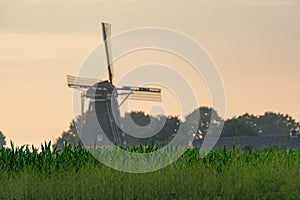 Dutch windmill, small village in North Brabant, mill and corn fields on sunset