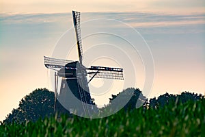 Dutch windmill, small village in North Brabant, mill and corn fields on sunset