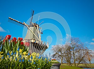 Dutch windmill and tulips