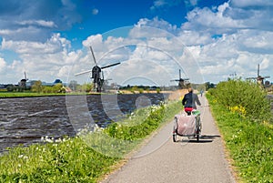 Dutch windmills with canal reflections at Kinderdijk, Netherlands