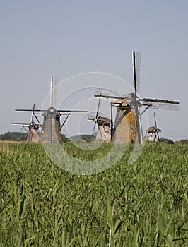 Dutch windmills in Kinderdijk 9