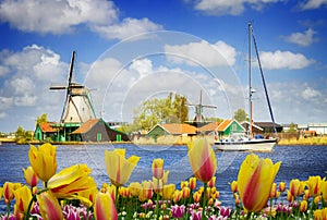 Dutch windmills over Zaan river photo