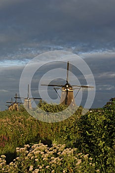 Dutch windmills