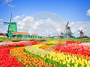 Dutch windmills with in Zaanse Schans