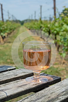 Dutch winery, rose wine tasting on vineyard in Brabant on outside terrace