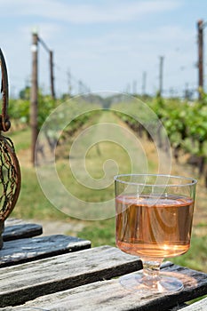 Dutch winery, rose wine tasting on vineyard in Brabant on outside terrace