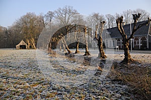 Dutch Winter Landscap