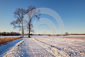 Dutch winter landscape near the village of Delden The Netherlands