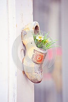 Dutch wooden shoe floral decor