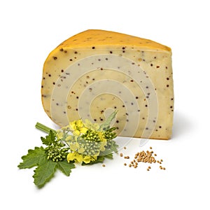 Dutch young mustard cheese
