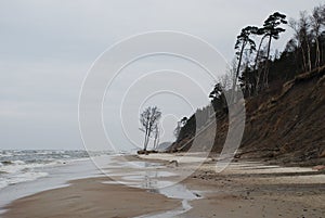 Dutchman's cap dune in Lithuania