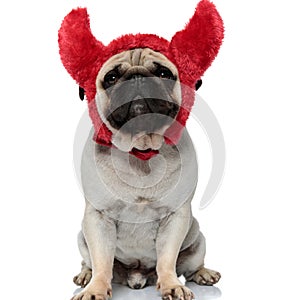 Dutiful Pug puppy wearing headband with devil horns photo