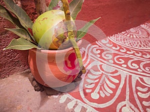 dwar-ghat is a clay pot kept with tender coconut and mango leaves during hindu saraswati puja rituals. swastika is drawn on the photo