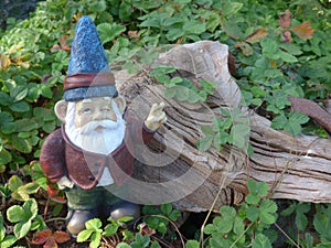 Dwarf in front of wooden root
