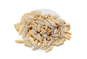 Dwarf Lilyturf Tuber