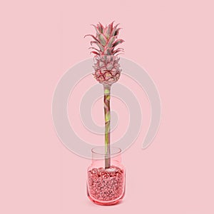 Dwarf Ornamental pink Pineapple flower in glass vase. One fashion exotic plant.