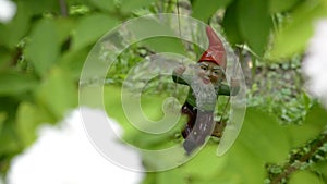 Dwarf on a swing in the garden