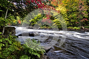 Landscape in autumn.  Autumn leaf colour with stream and flowing water