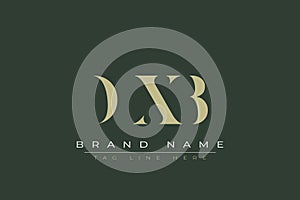 DXB abstract letter logo design