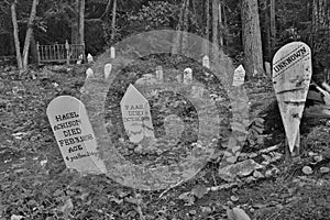 Dyea cemetery from Gold Rush time, above town of Skagway, Alaska