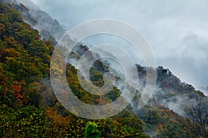 Dyed Mountains and Forests,Cloud and Mist