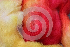 Dyed sheep wool roving