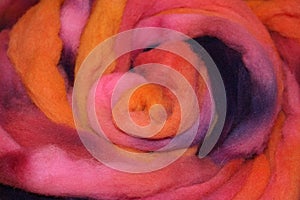 Dyed sheep wool roving