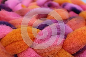 Dyed sheep wool roving