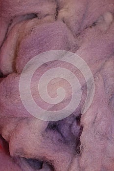 Dyed sheep wool roving