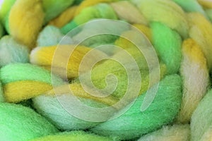 Dyed sheep wool roving