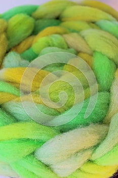 Dyed sheep wool roving