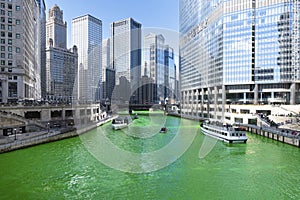 Dyeing Chicago River Green