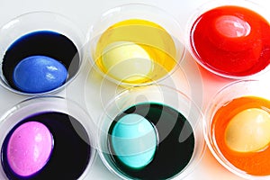 Dyeing Easter eggs in plastic cups.