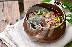 Dyeing of fabric with natural dyes, fabric in a copper vat with plants