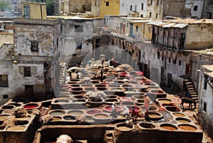 Dyeing in Fez, Morocco.