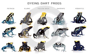 Dyeing poison dart frogs set, Dendrobates tinctorius, on white