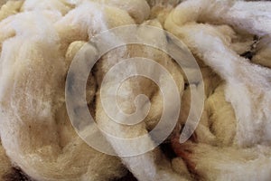 Dyeing sheep wool