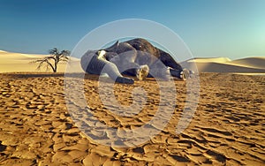 Dying elephant on drought cracked desert landscape.