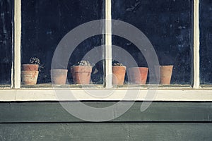 Dying plants on pots in window of old vintage retro potting shed