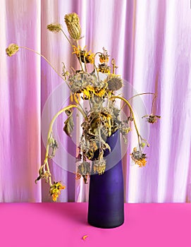 Dying sunflowers still life concept. Retro lily and purple lonely background