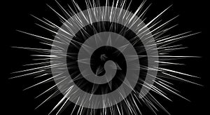Dynamic Abstract Spiky Sphere on Black Background