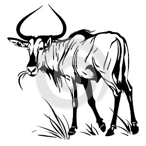 Dynamic black and white wildebeest illustration